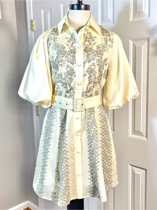 We Are Kindred Dresses & Skirts - WE ARE KINDRED Knee Length Shirt Dress Ivory Tan Floral Balloon Sleeve Size 4